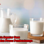 Berbagai Fakta Seputar Susu Pasteurisasi dan Proses Pembuatannya