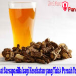 Manfaat Sarsaparilla bagi Kesehatan yang Tidak Pernah Terduga