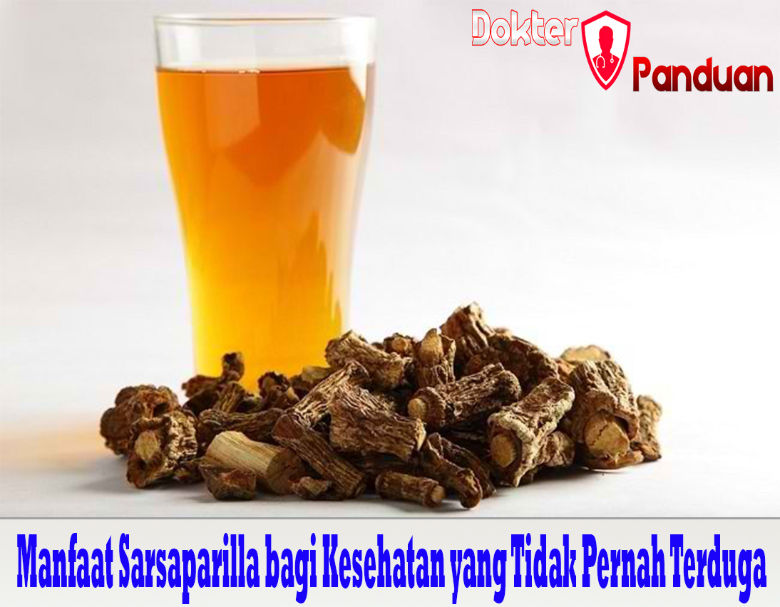 Manfaat Sarsaparilla bagi Kesehatan yang Tidak Pernah Terduga