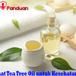 Manfaat Tea Tree Oil untuk Kesehatan Kulit