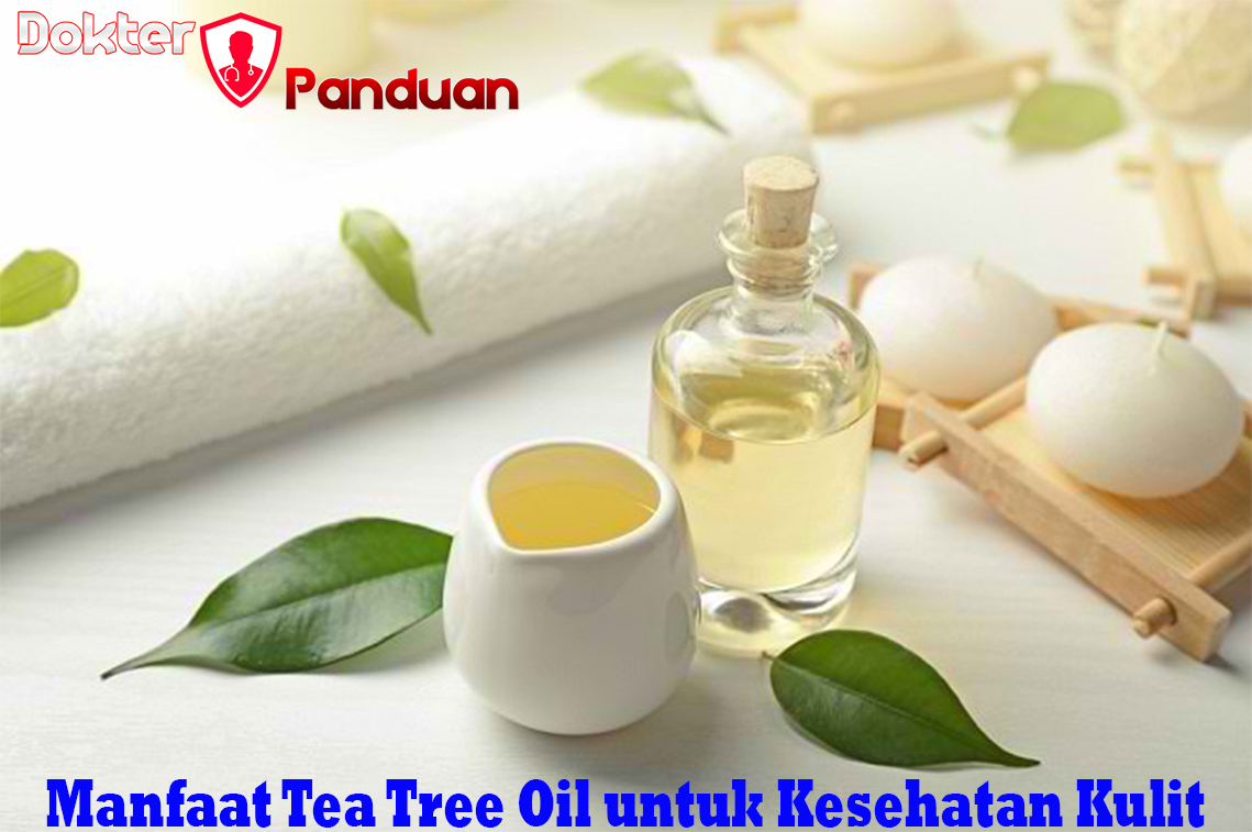 Manfaat Tea Tree Oil untuk Kesehatan Kulit