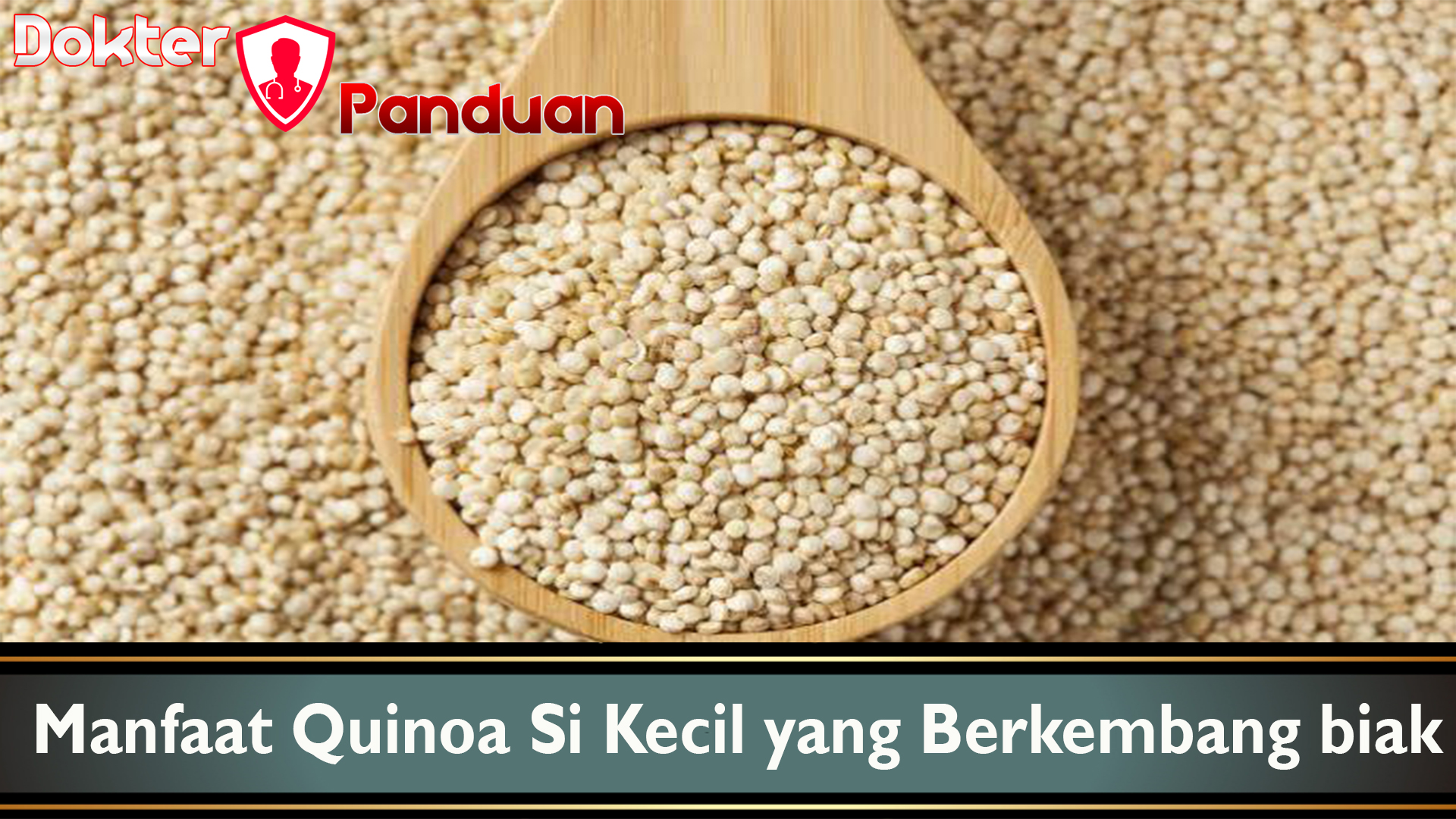 Manfaat Quinoa Si Kecil yang Berkembang biak