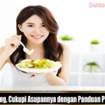 Gizi Seimbang, Cukupi Asupannya dengan Panduan Piring Makan
