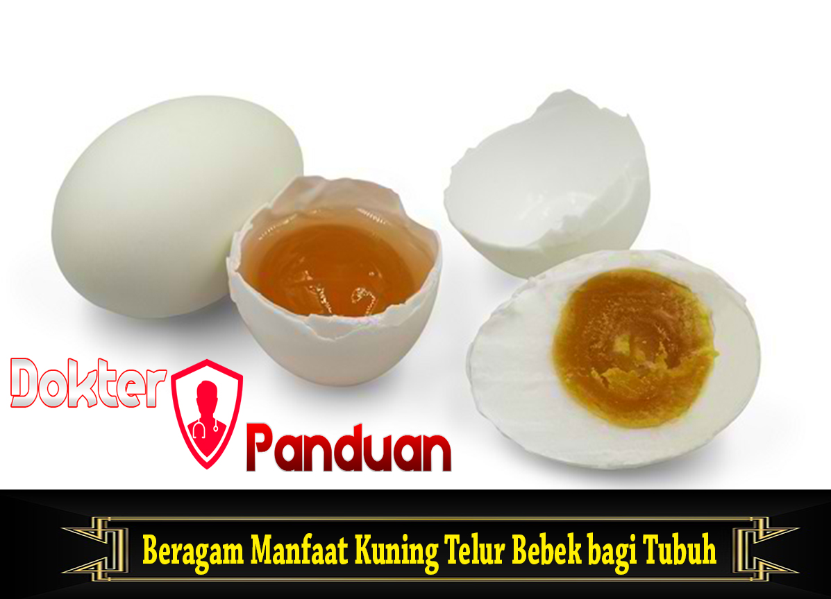 Beragam Manfaat Kuning Telur Bebek bagi Tubuh