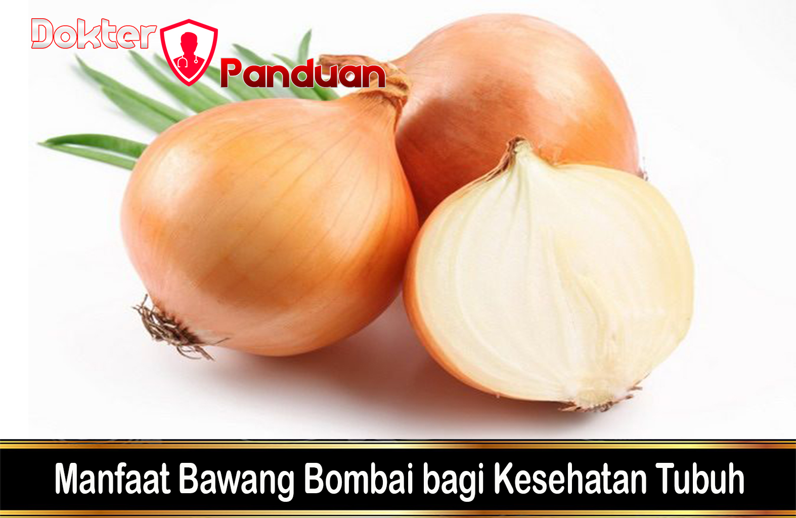 Manfaat Bawang Bombai bagi Kesehatan Tubuh