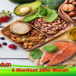 6 Manfaat Jahe Merah