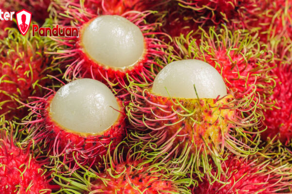 Manfaat Buah Rambutan untuk Kesehatan