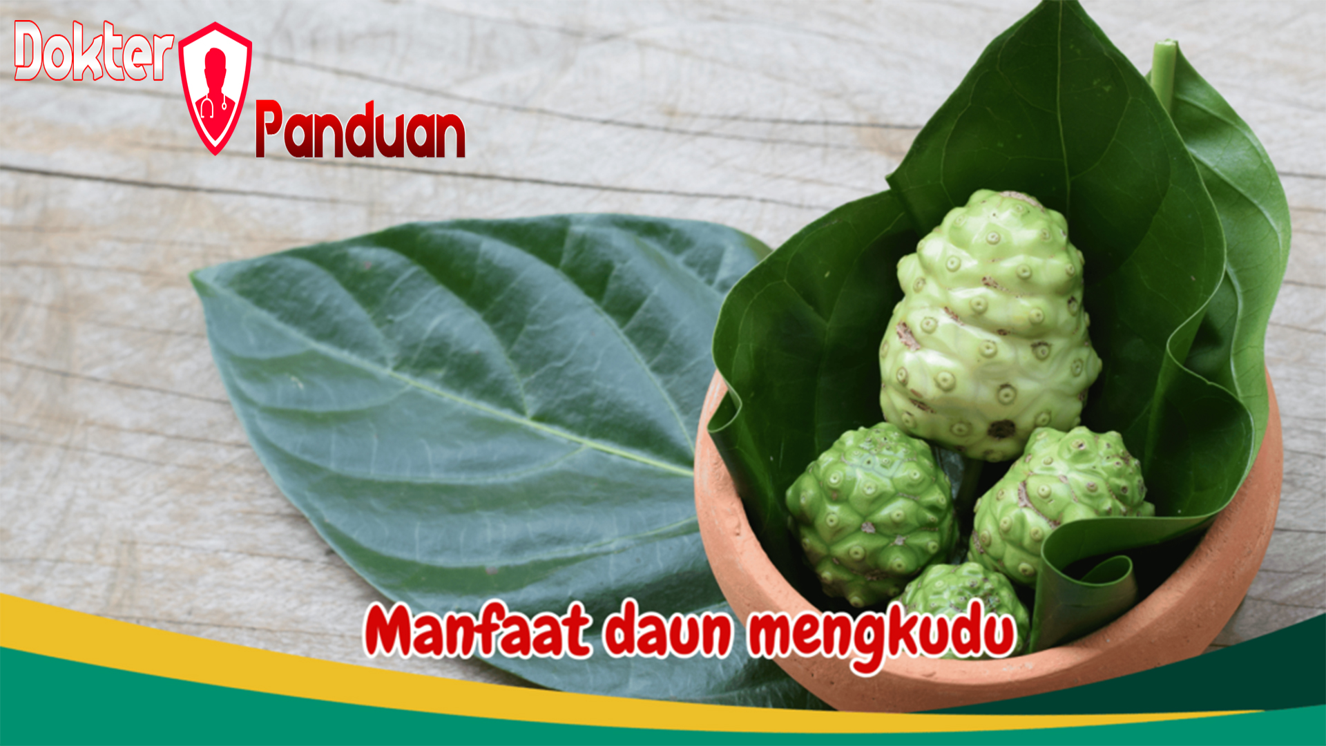 Manfaat Daun Mengkudu bagi Kesehatan