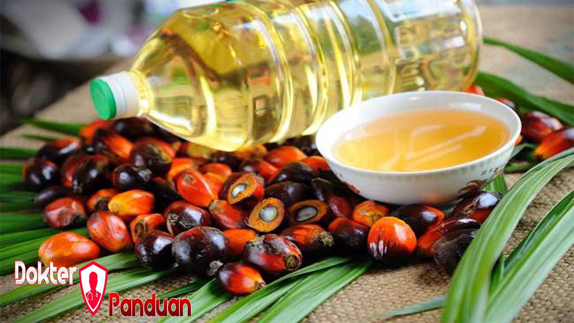 Manfaat Kelapa Sawit dan Risikonya terhadap Kesehatan Tubuh