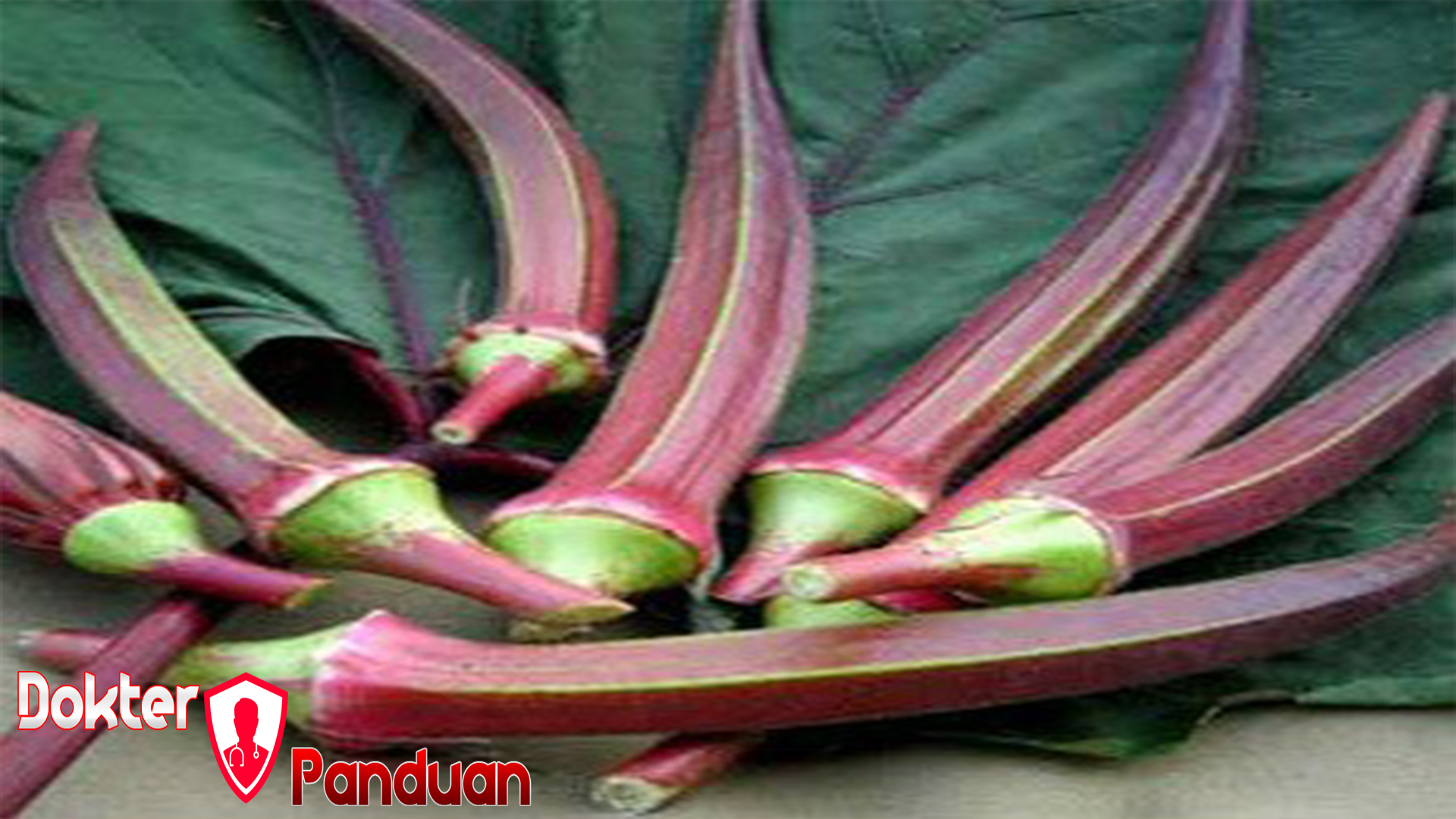 Manfaat Okra Merah bagi Kesehatan Tubuh