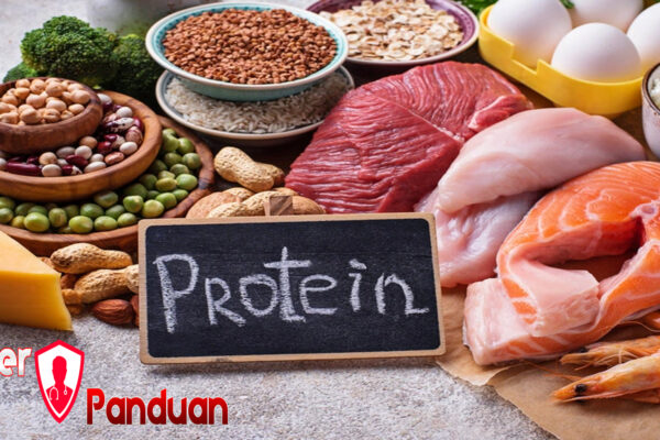 Manfaat Protein dan Sumbernya