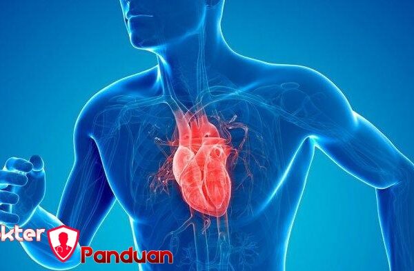Penyakit Jantung Panduan Mencegah dengan Gaya Hidup Sehat