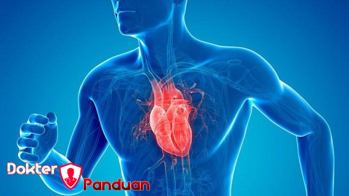Penyakit Jantung Panduan Mencegah dengan Gaya Hidup Sehat
